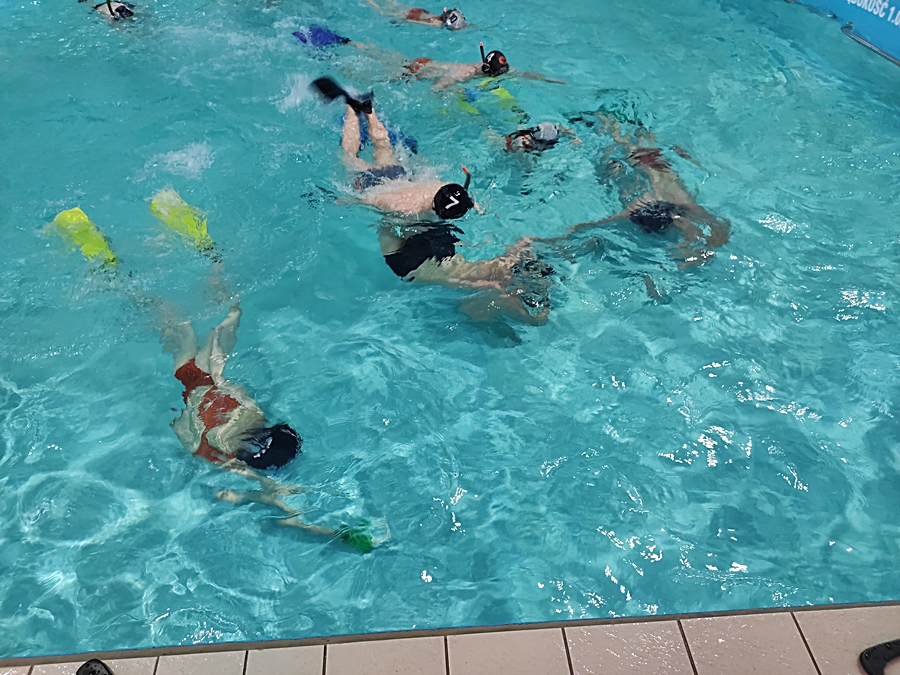 Hokej pod wodą Walenie Siemianowice Śląskie Trening 20 I 2024